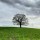 From impairment to flourishing – Vicar of Villages avatar